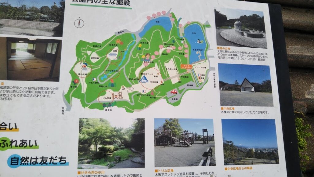 天気のいい日は自然の中で体を動かそう 清水船越堤公園の園内をご紹介 Beans Net